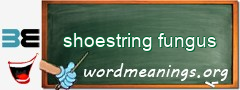 WordMeaning blackboard for shoestring fungus